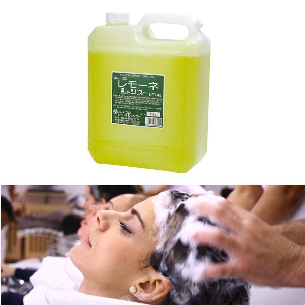 Shampoo Profissional Horukon Lemon 4L – Limpeza Profunda